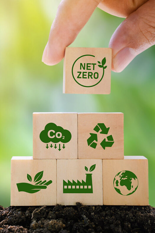 Wooden cubes with symbols for green transformation