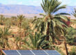 A photovoltaic system in Morocco with palm trees in the background.