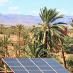 Une installation photovoltaïque au Maroc avec des palmiers en arrière-plan.