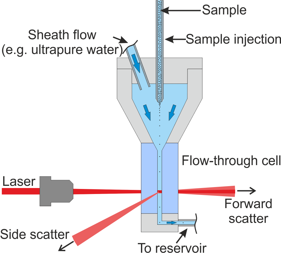 In the single particle counter, the suspension is injected with a cannula into the conical area of the Flow-through cell and then accelerated through the taper and the surrounding sheath flow . This separates the particles along the direction of flow and they pass the laser focus predominantly one by one. For each particle, the scattered light is measured in the direction of the laser beam (forward scattering) and perpendicular to it (sideward scattering).