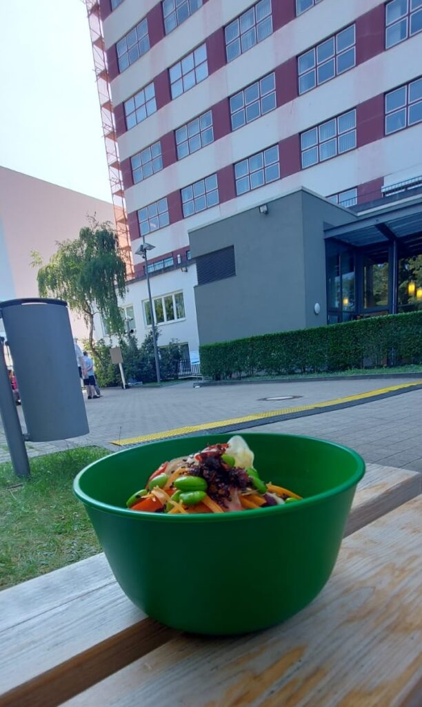 A reuseable plastic bowl filled with Asian food