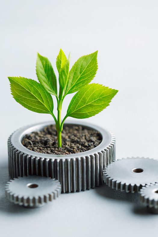Several cogwheels, the largest of which is filled with soil and from which a green leafy plant sprouts.