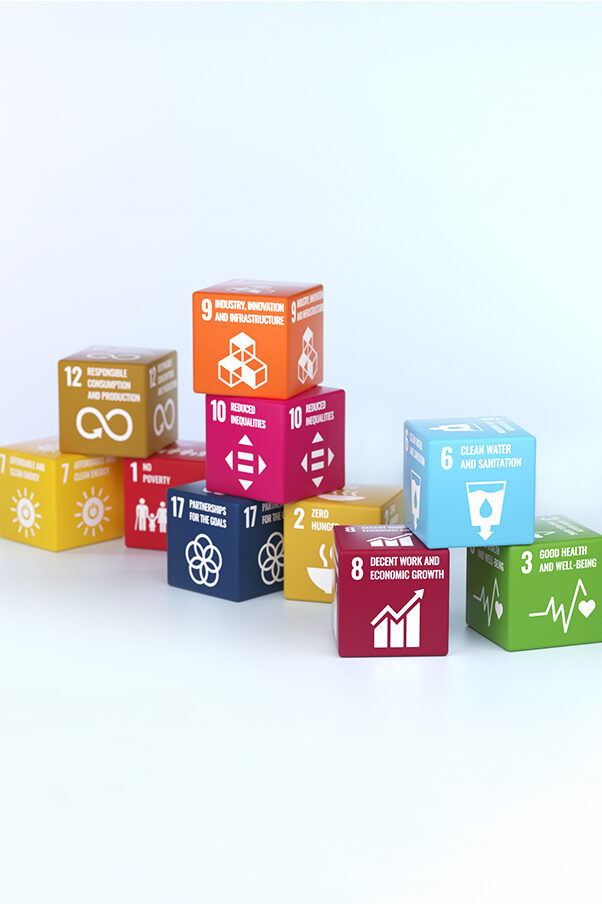 Small cubes in different colours with the global Sustainability Development Goals