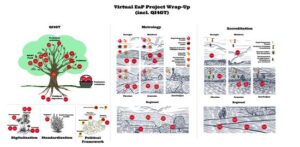 Several depictions of apples on a tree, in landscapes, and with various plants which represent the achievements of the project.