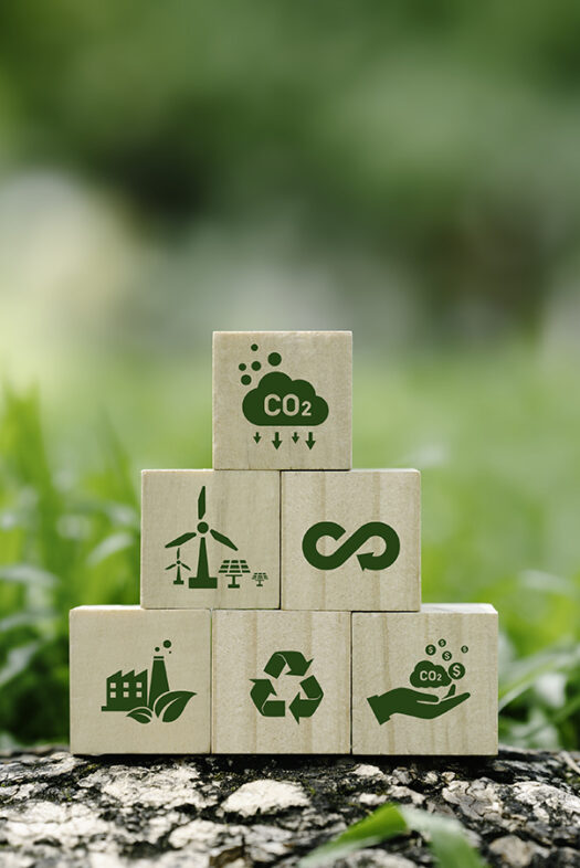 A pyramid of wooden blocks displaying symbols such as windmills and recycling arrows with grass in the background.