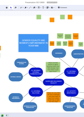 Screenshot of the conceptboard detailing a discussion on gender equality and women’s empowerment in NMIs